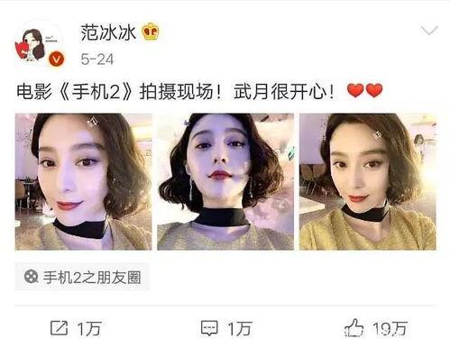 2019年娱乐圈吃瓜,瓜田李下，明星们的年度大揭秘